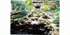CalabroPond003.jpg