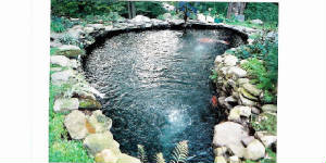 Calabropond002.jpg