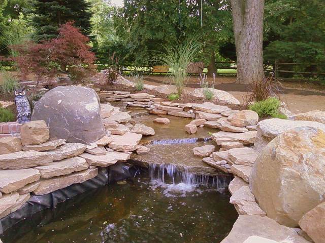 Callahans_pond.jpg