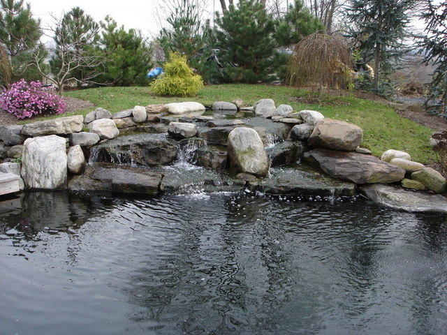 Keirin_koi_pond_004.jpg