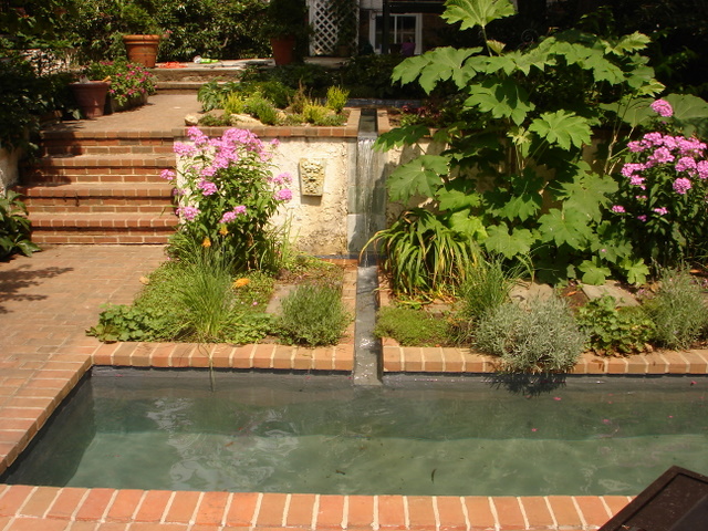 Mikes_pond.jpg