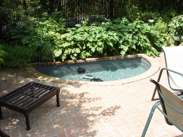 Mikes_pond_2.jpg